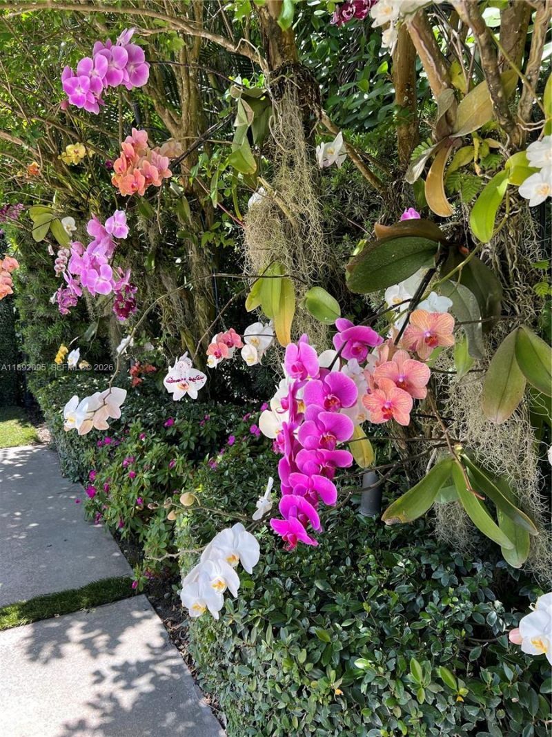 5800 SW 99th Ter, Pinecrest, FL 33156 Photo