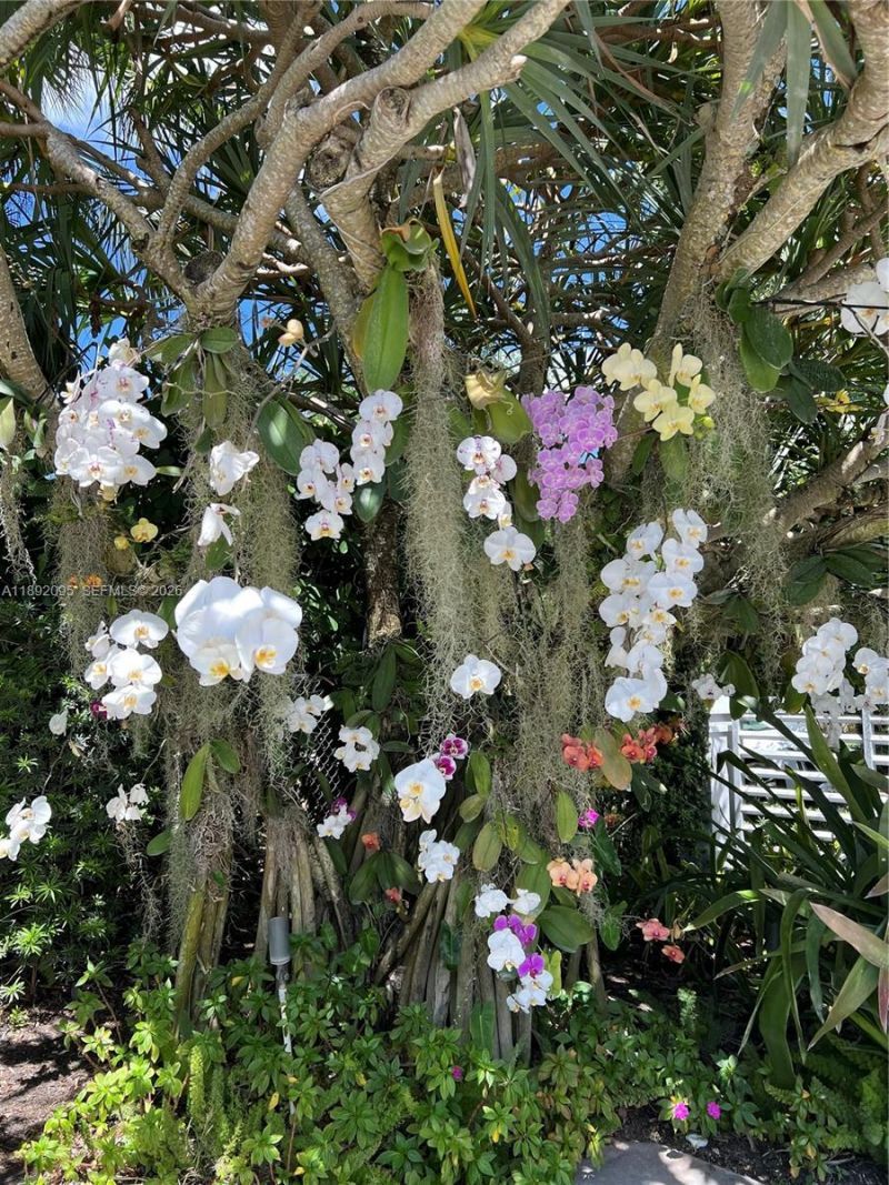 5800 SW 99th Ter, Pinecrest, FL 33156 Photo