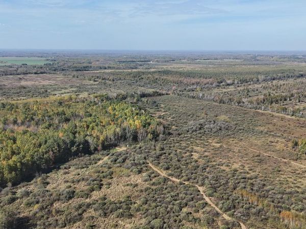 TBD 460th Lane, Palisade, MN 56469