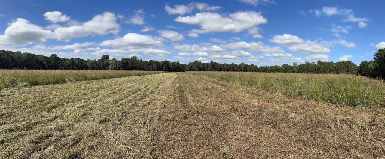 Tbd Bourne Trail  Photo 11