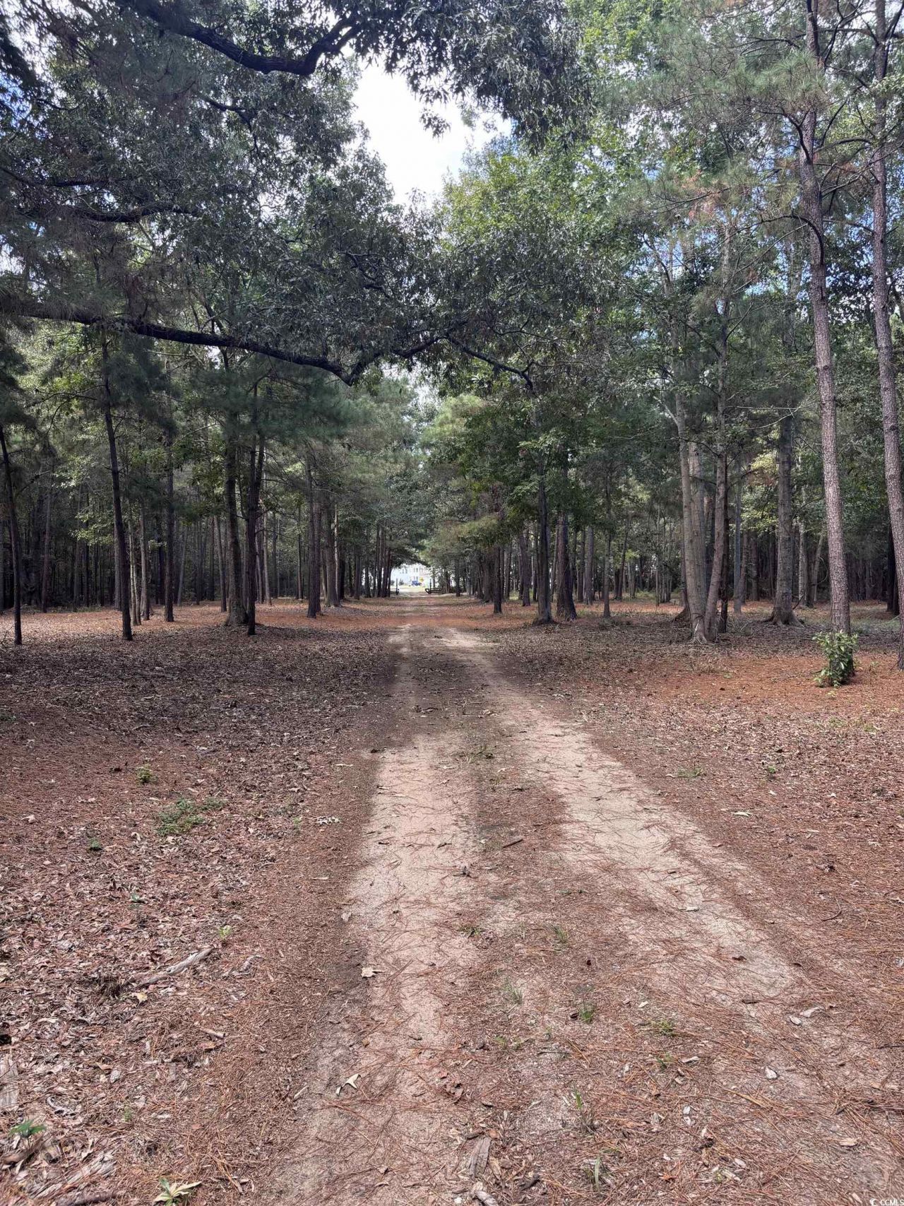 Tbd Bourne Trail  Photo 14