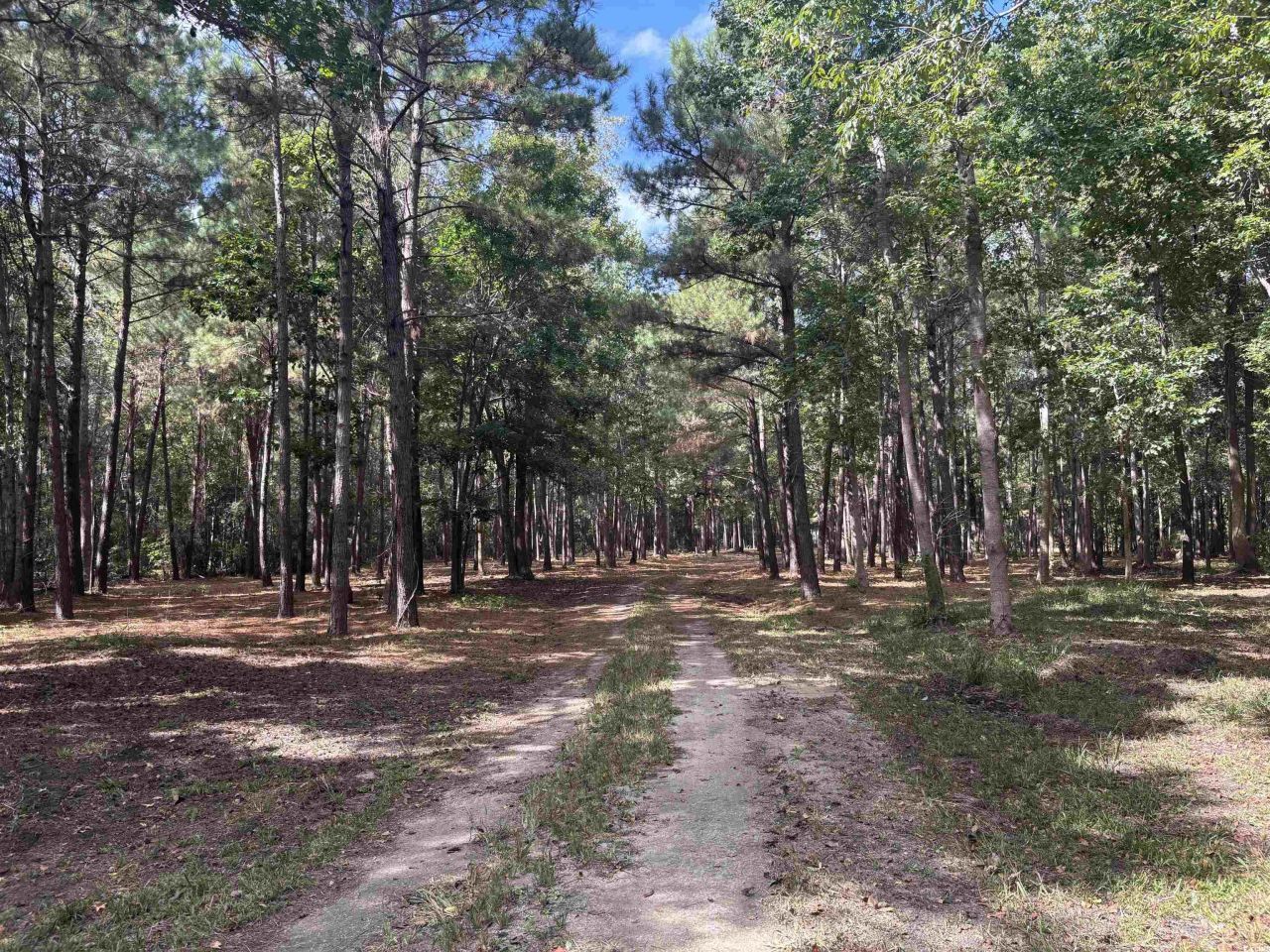 Tbd Bourne Trail  Photo 4