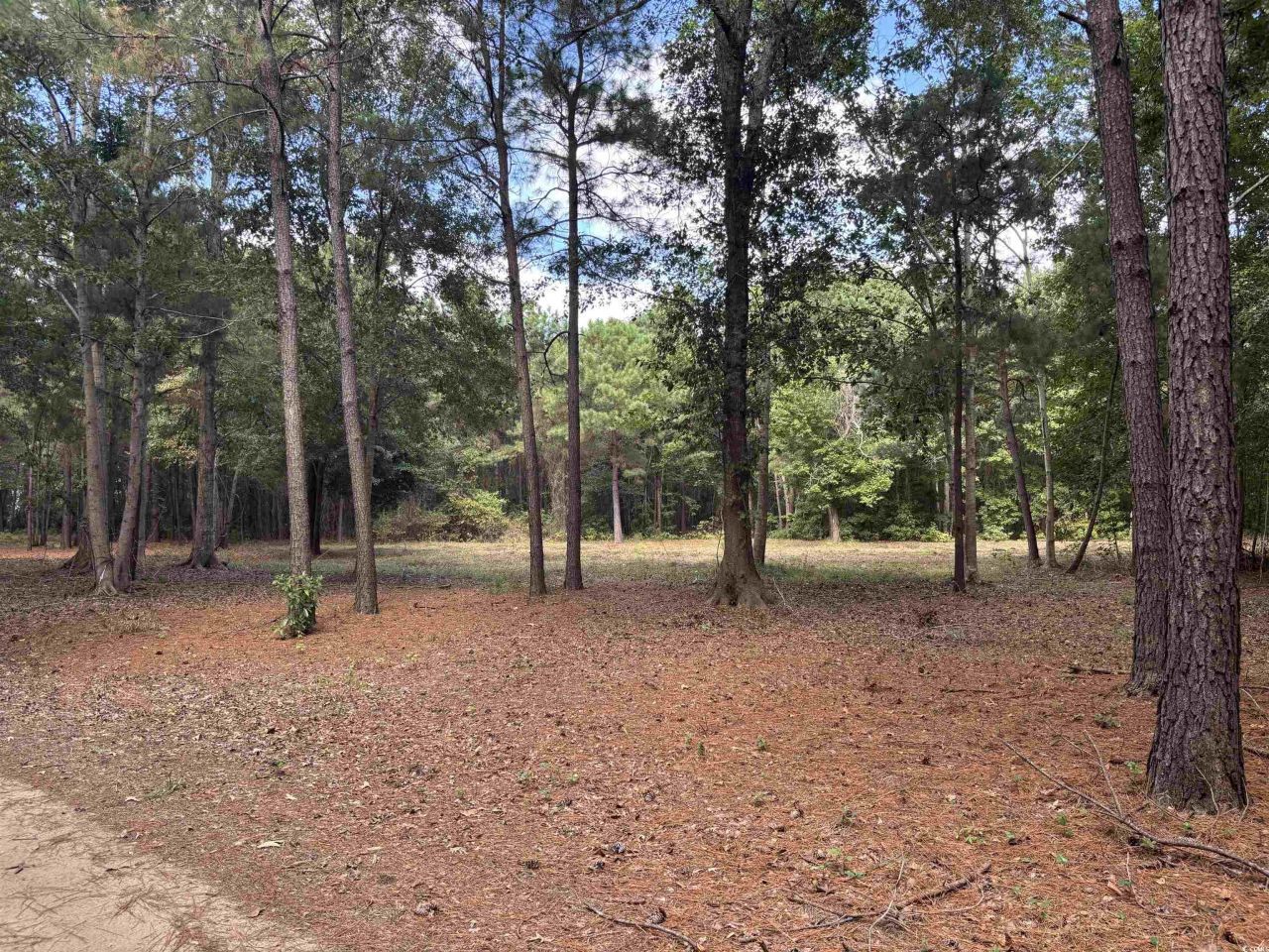 Tbd Bourne Trail  Photo 5