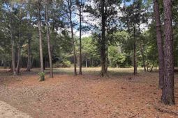 Tbd Bourne Trail  photo 4