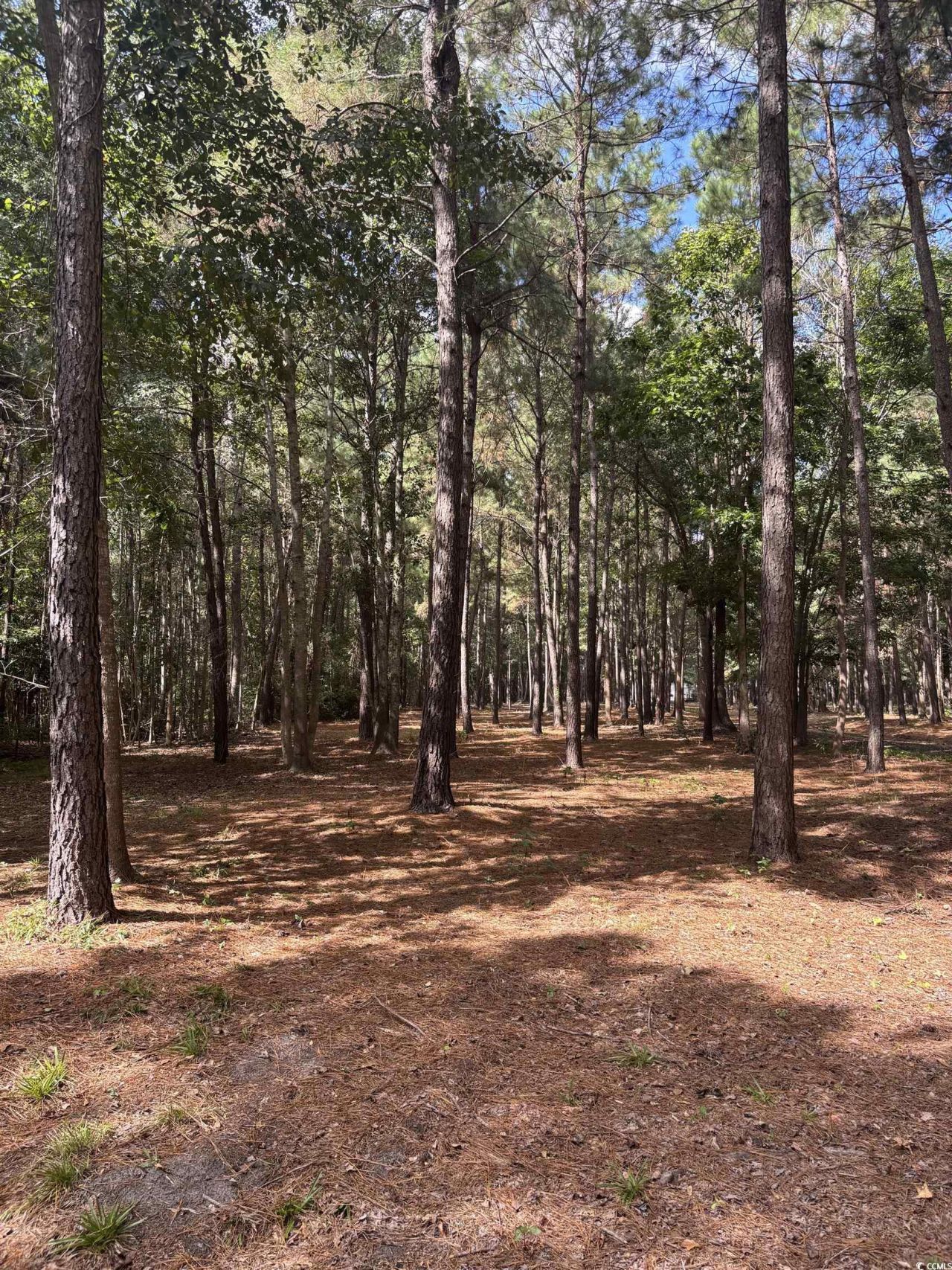 Tbd Bourne Trail  Photo 6