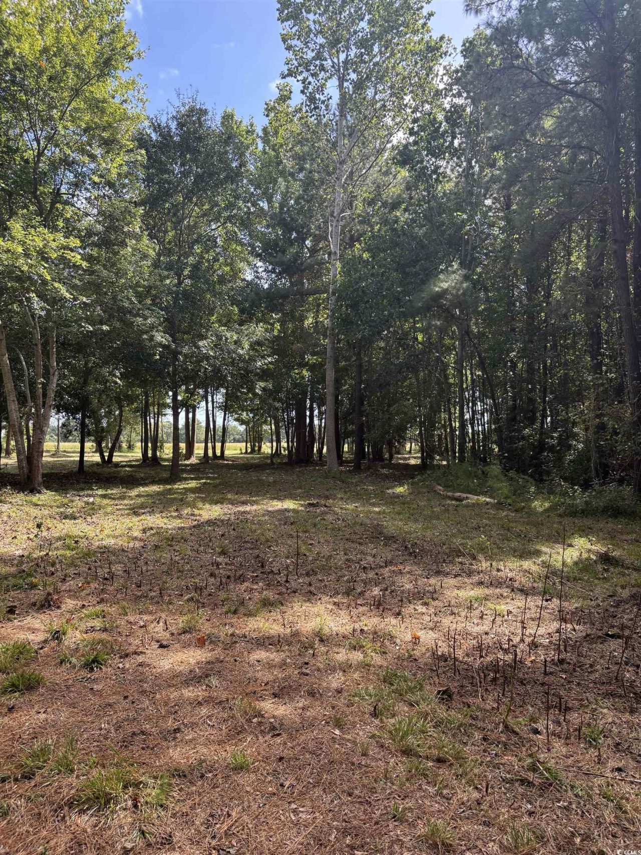 Tbd Bourne Trail  Photo 7