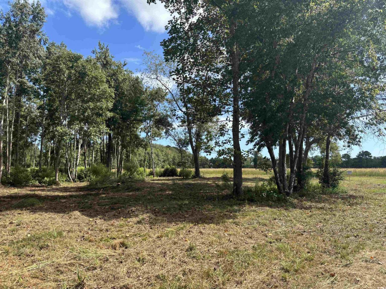 Tbd Bourne Trail  Photo 8