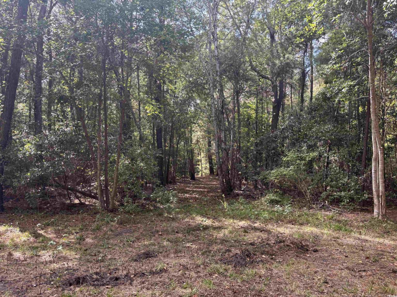 Tbd Bourne Trail  Photo 9