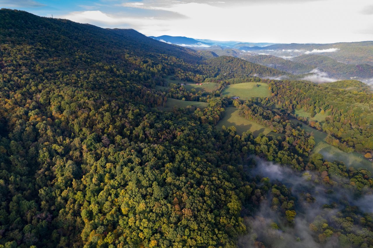 0 Robertson Mountain Rd, Narrows, VA 24124 Main Photo