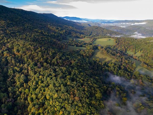 0 Robertson Mountain RD, Narrows, VA 24124