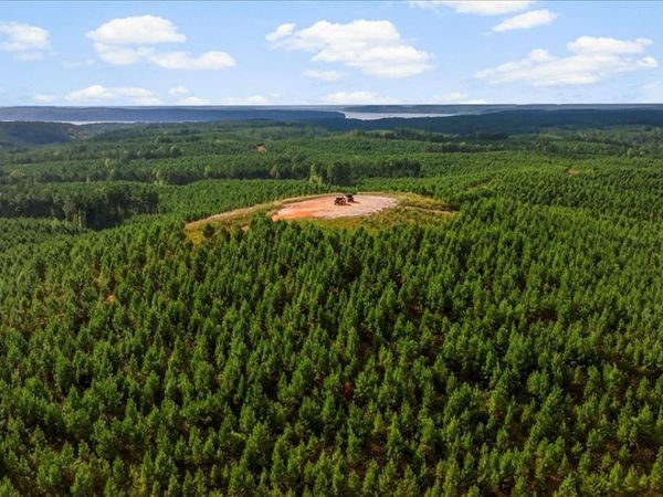 0 Fox Lane, Savannah, TN 38372