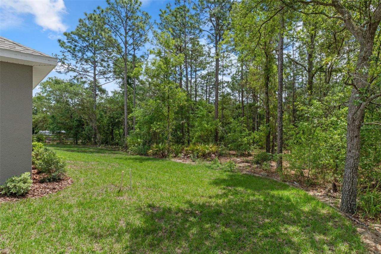 3818 W Birds Nest Drive, Beverly Hills, FL 34465 Photo