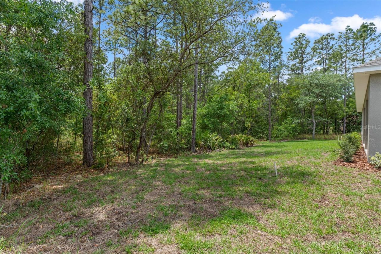 3818 W Birds Nest Drive, Beverly Hills, FL 34465 Photo