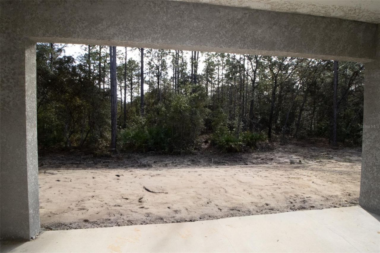 3818 W Birds Nest Drive, Beverly Hills, FL 34465 Photo