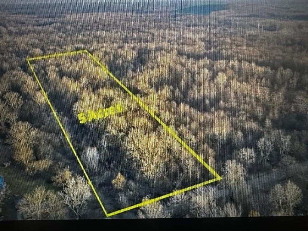 26055 Martinsville Road, New Boston, MI 48164 Main Photo