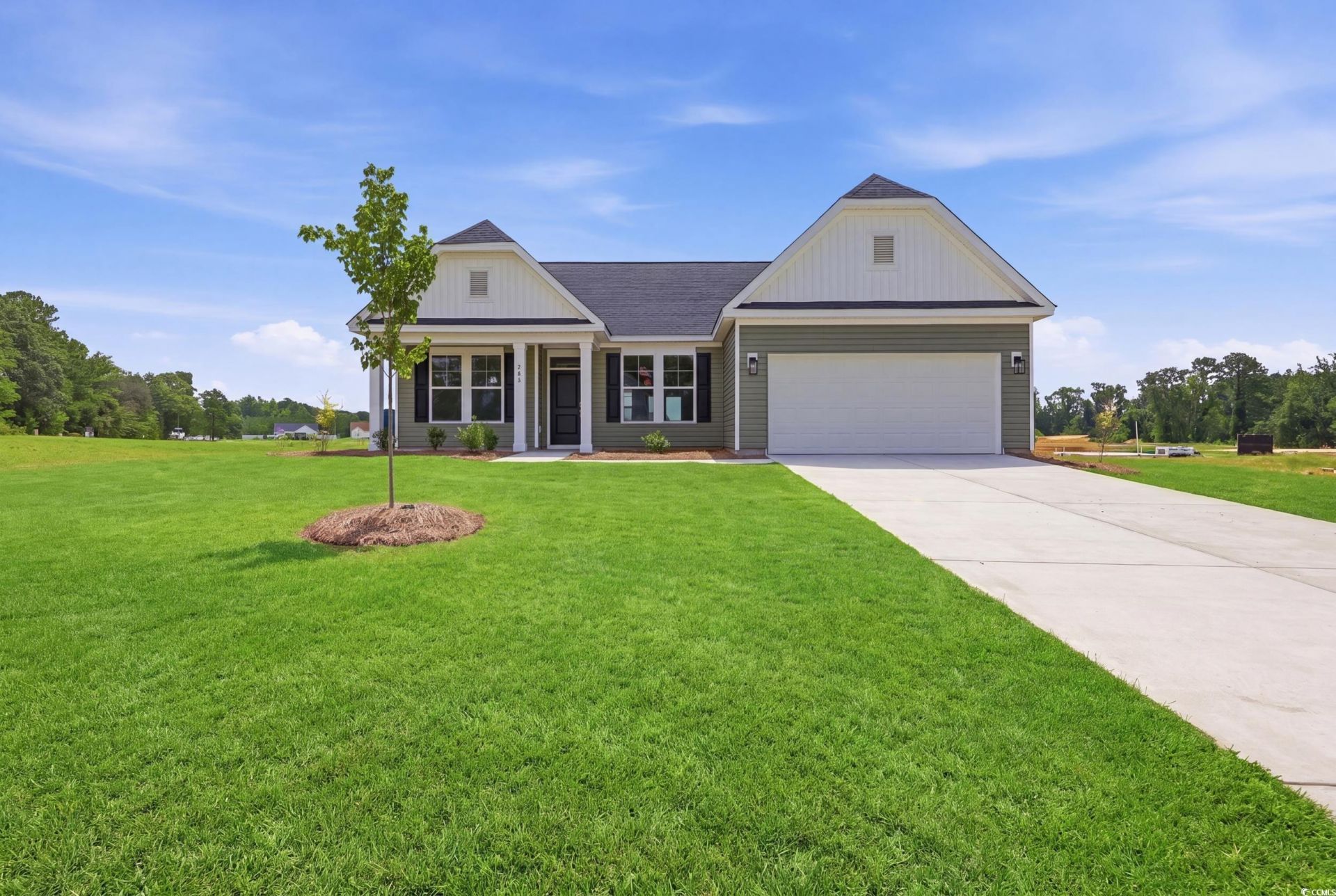 208 Blue Wing Court, Conway, SC 29527 Main Photo