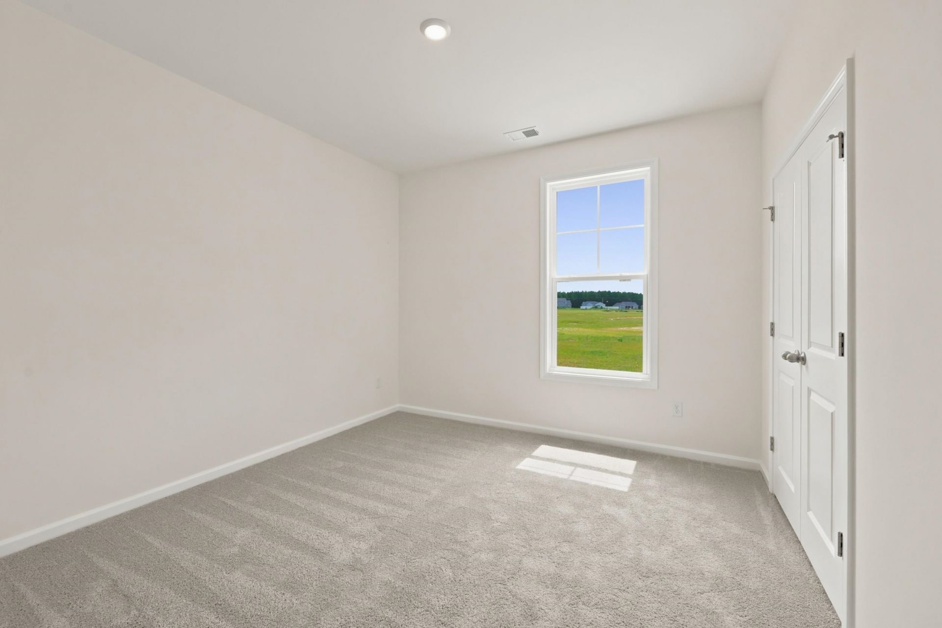 208 Blue Wing Court Photo 4