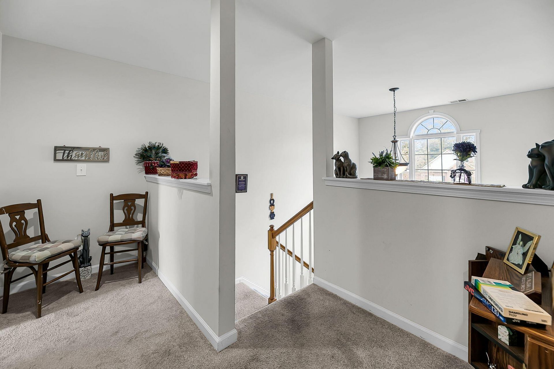 8725 Evangeline Drive Photo 15