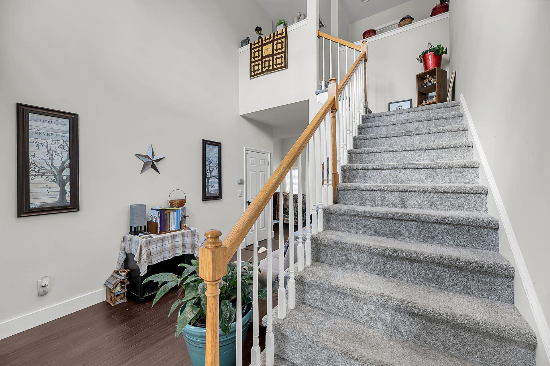 8725 Evangeline Drive Photo 29