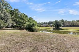 8725 Evangeline Drive photo 4