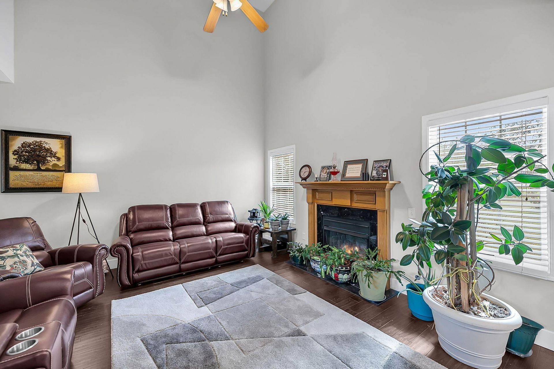 8725 Evangeline Drive Photo 30