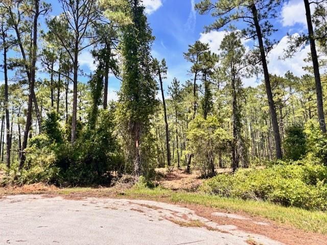 Chinaberry Way, Eustis, FL 32736