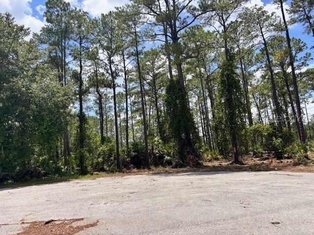 Chinaberry Way, Eustis, FL 32736