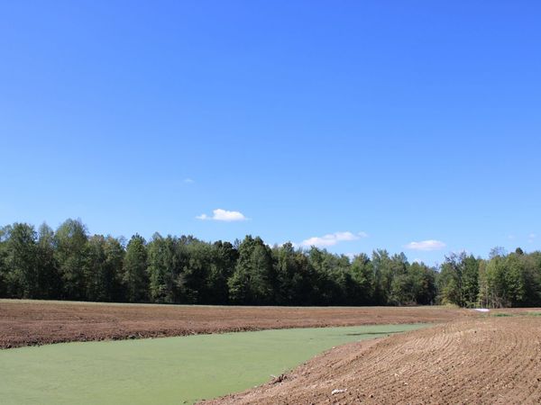Tract 9 7530 W Private Road 775 S, Commiskey, IN 47227