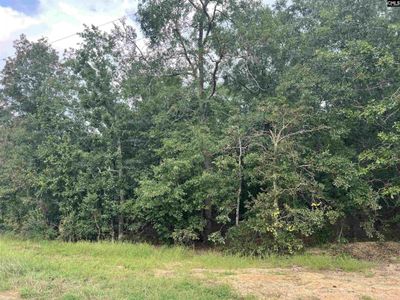 0 Cliff Road, Unit 3, Pelion, SC 29123