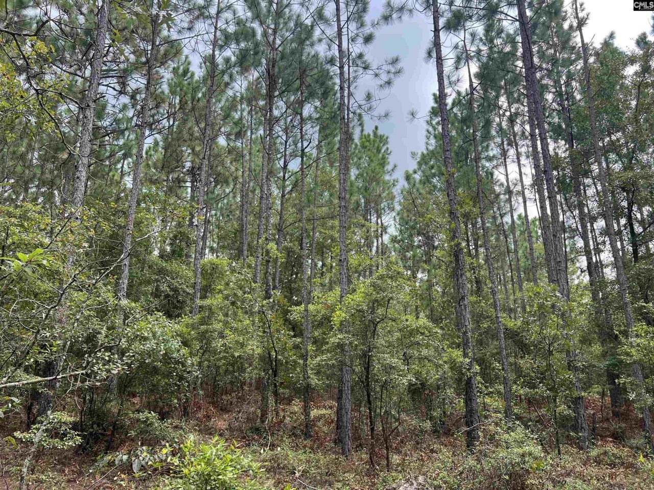 0 Cliff Road Photo 10