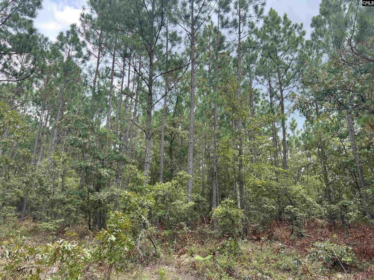 0 Cliff Road Photo 11