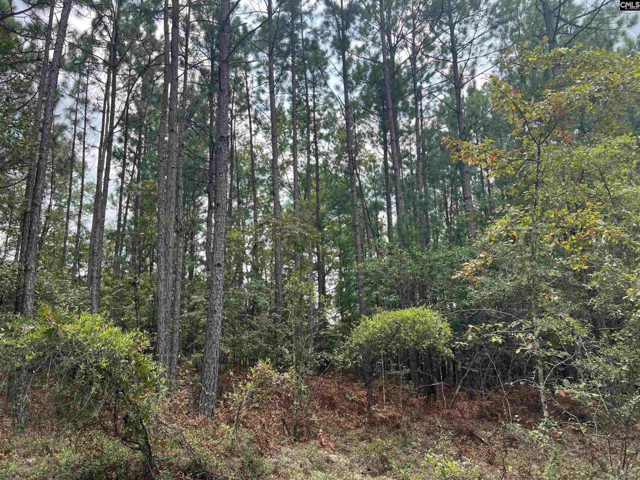 0 Cliff Road Photo 12