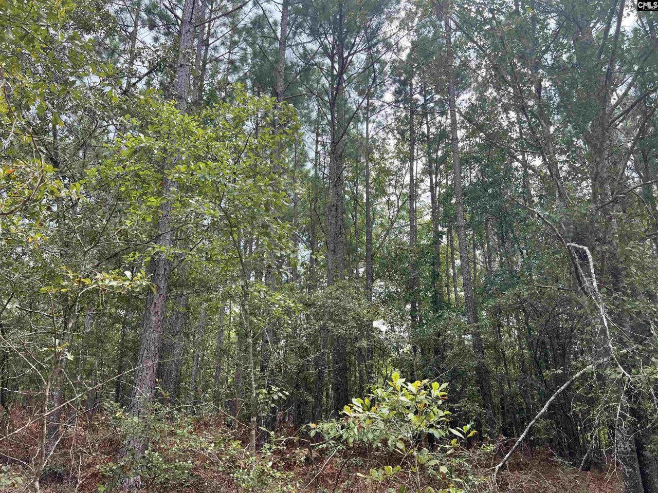 0 Cliff Road Photo 13