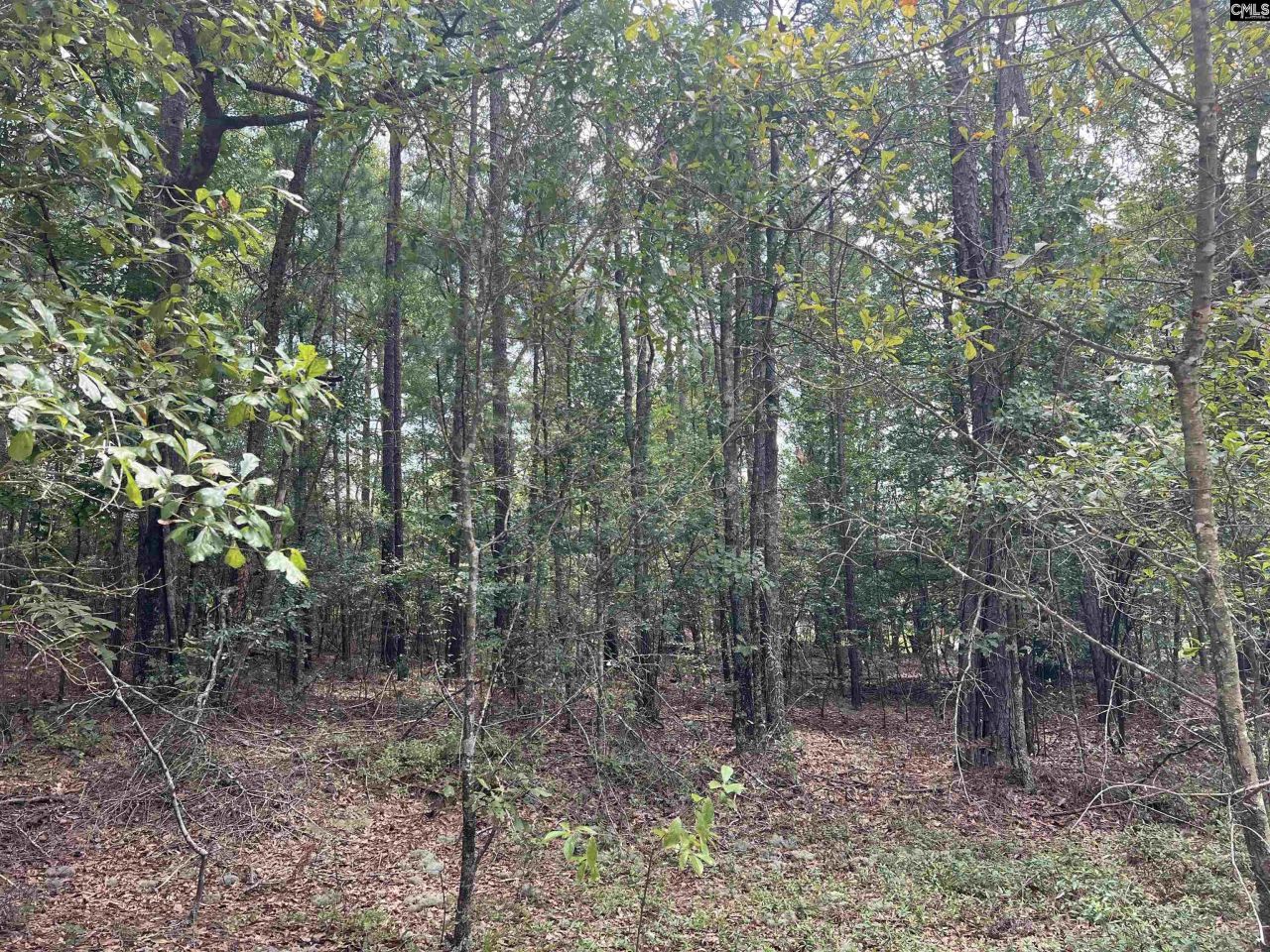 0 Cliff Road Photo 14