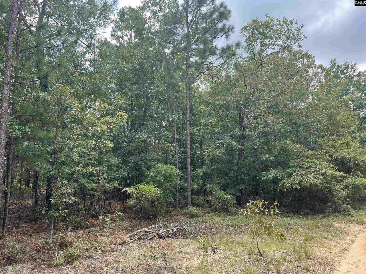 0 Cliff Road Photo 15