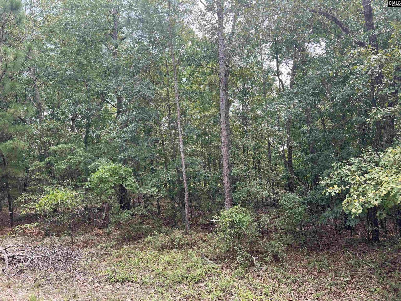 0 Cliff Road Photo 16