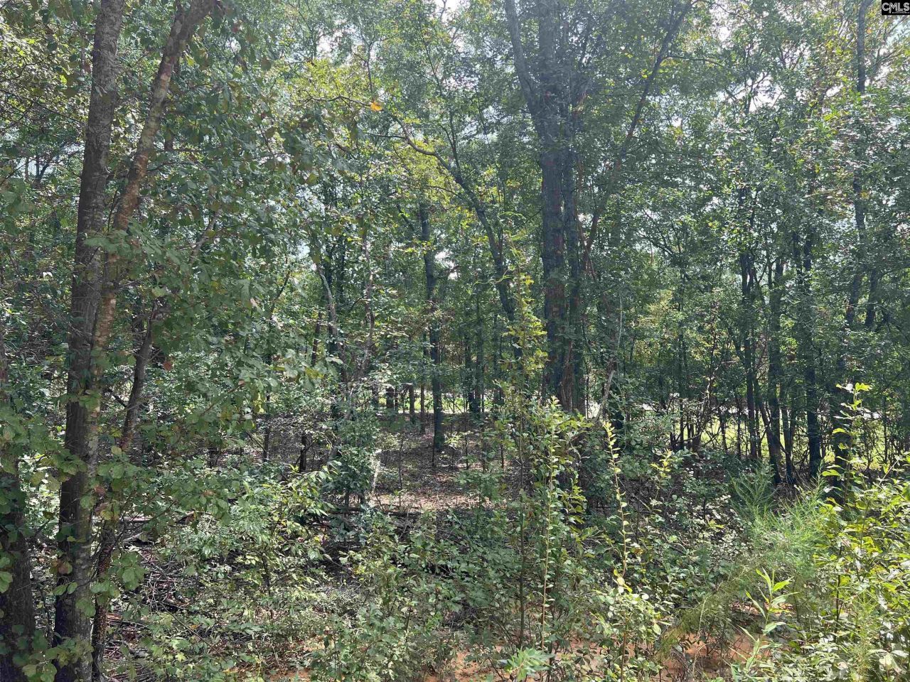 0 Cliff Road Photo 17