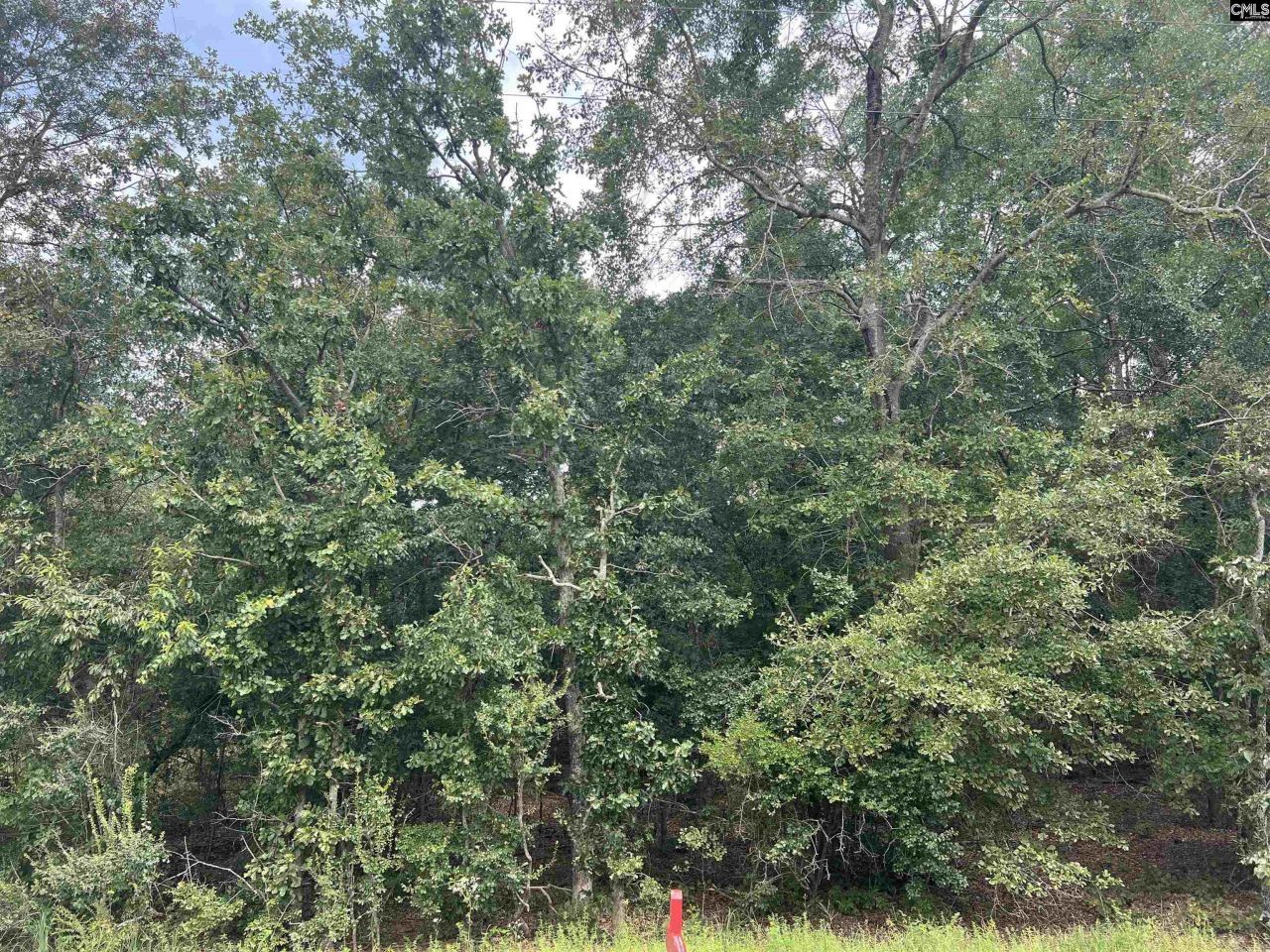 0 Cliff Road Photo 18