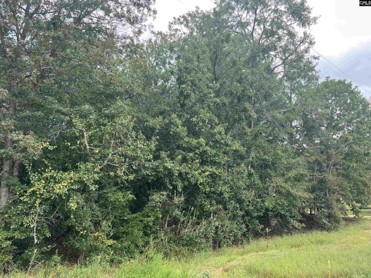 0 Cliff Road Photo 19