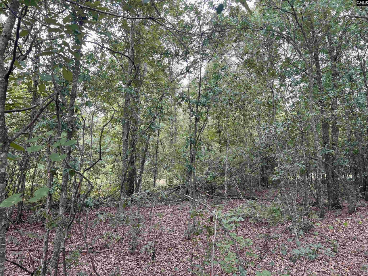 0 Cliff Road Photo 20