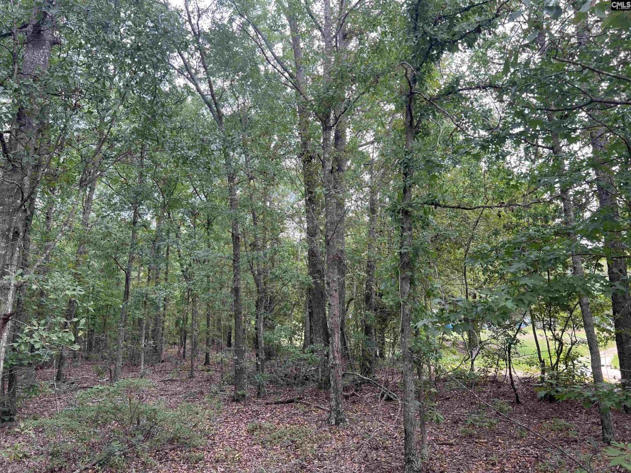 0 Cliff Road Photo 21