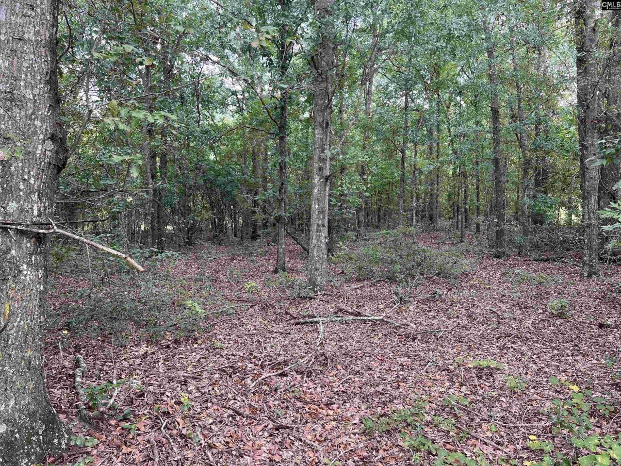 0 Cliff Road Photo 22