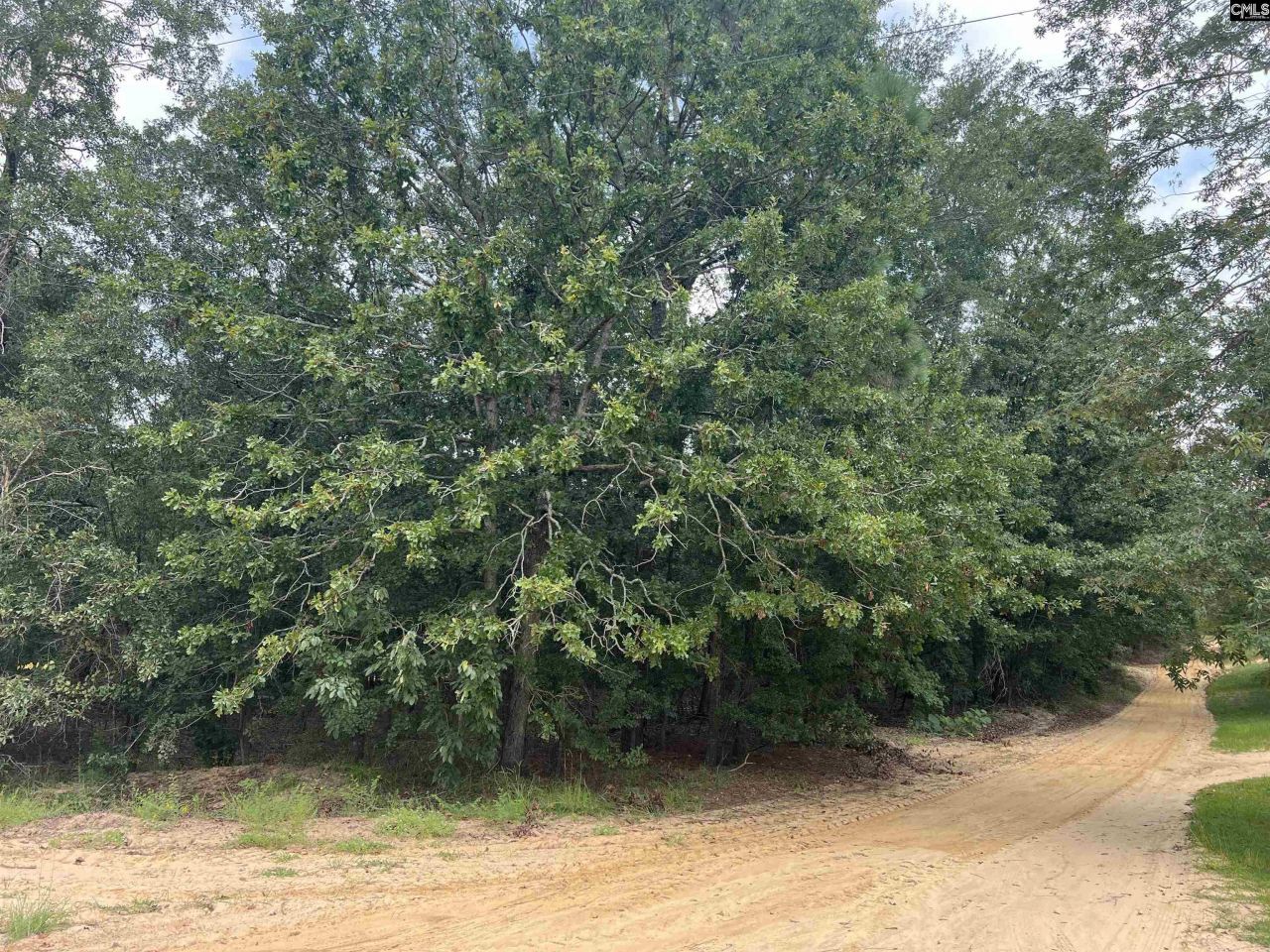 0 Cliff Road Photo 23