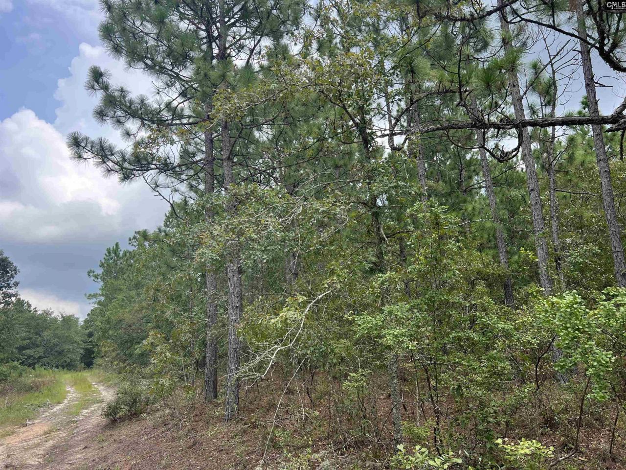 0 Cliff Road Photo 4