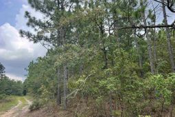 0 Cliff Road photo 4