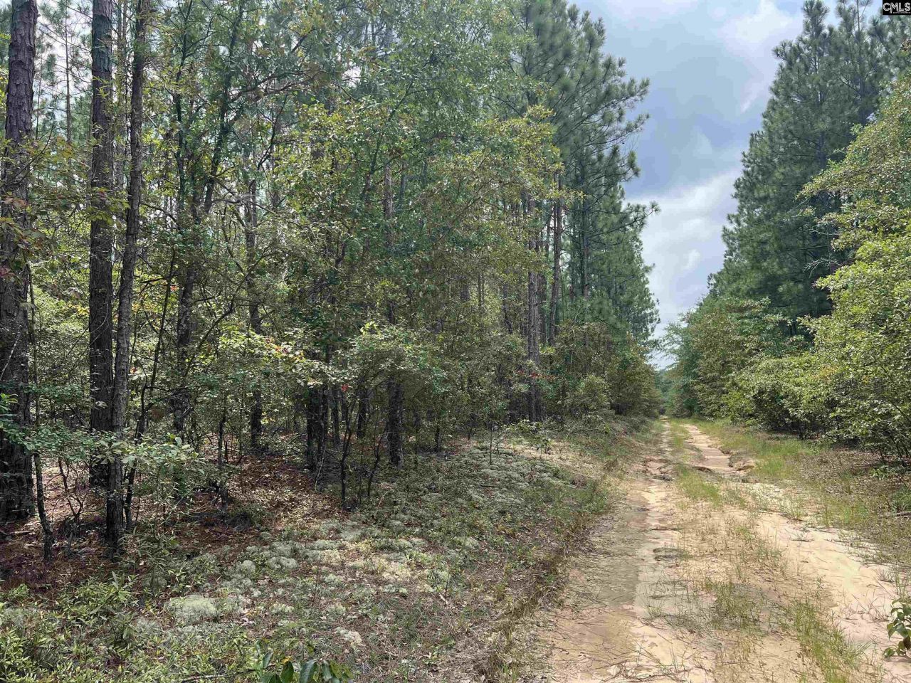 0 Cliff Road Photo 5