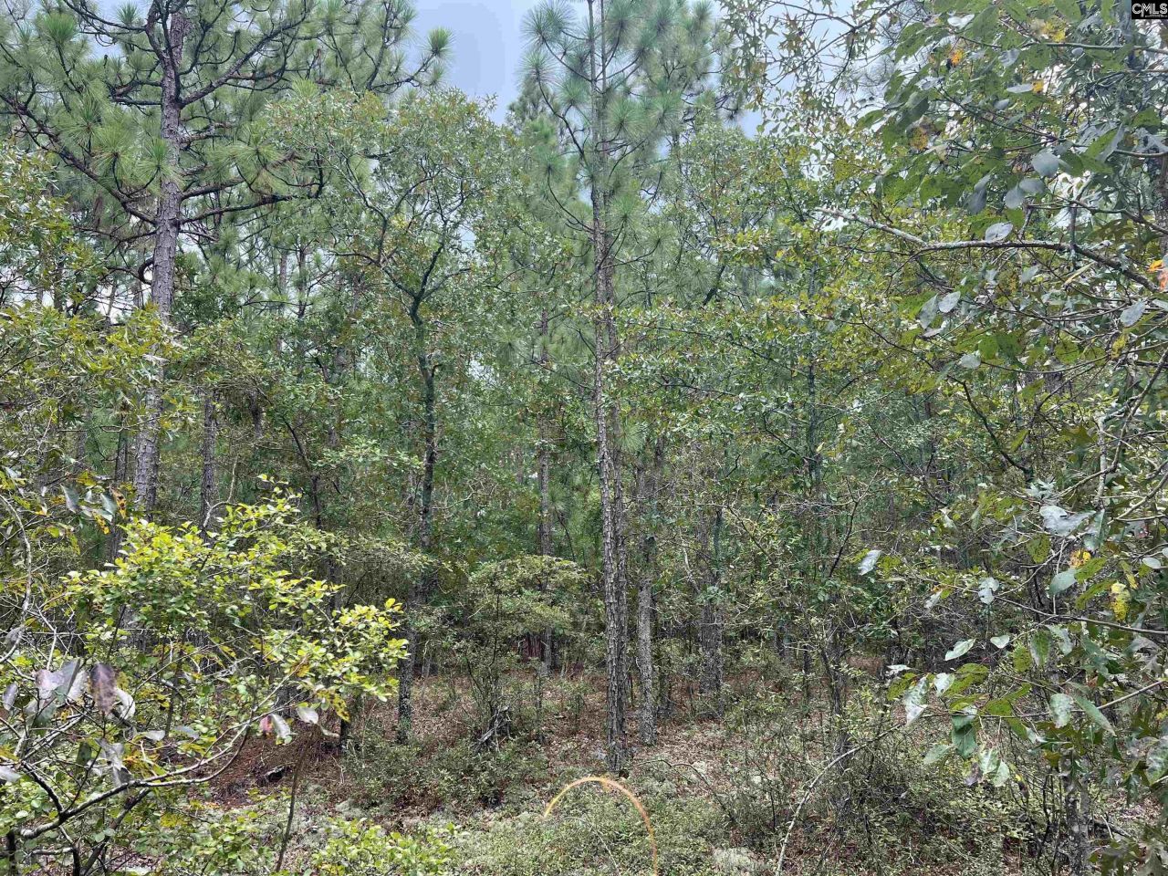 0 Cliff Road Photo 6