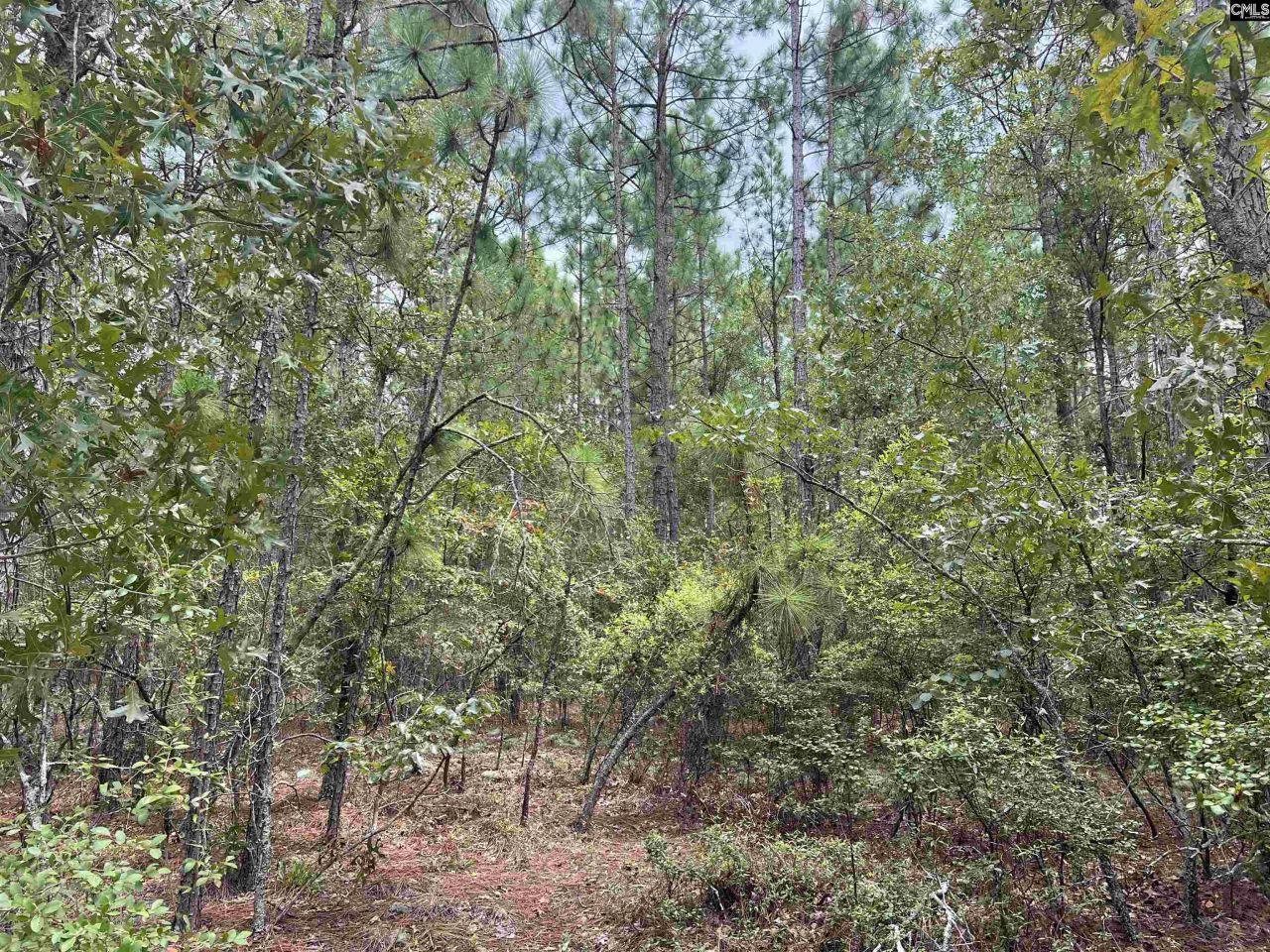 0 Cliff Road Photo 7