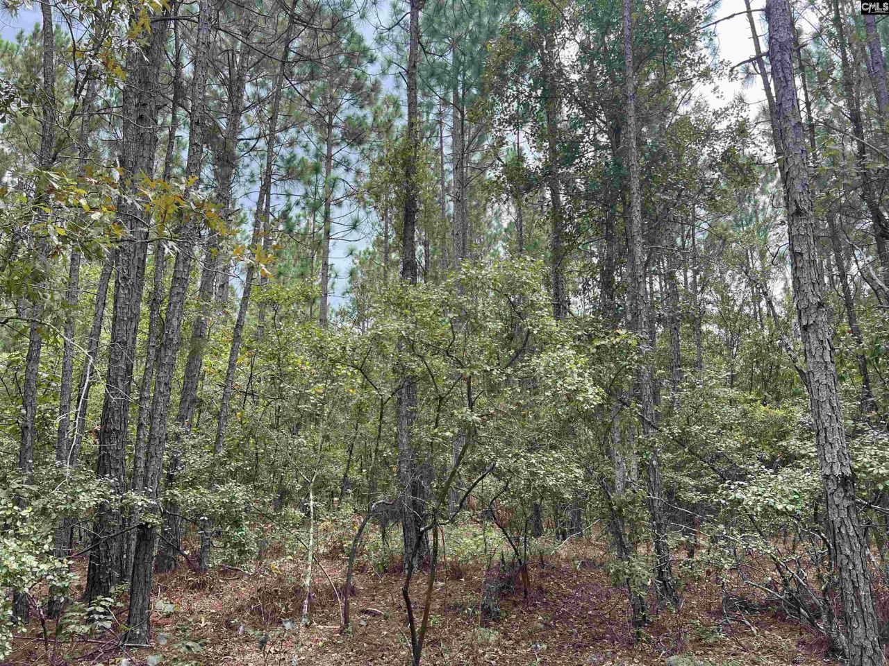 0 Cliff Road Photo 8