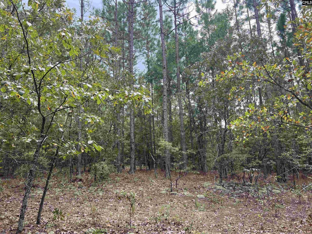 0 Cliff Road Photo 9